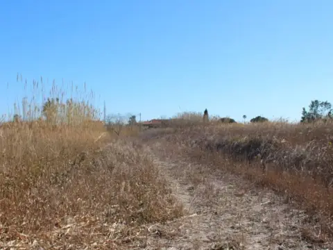 Terreno en Castelló de la Plana