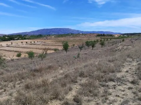 Terreno en calle Camino del Toscar, 11