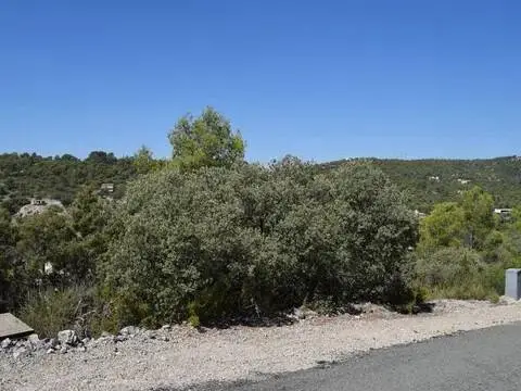 Terreno en Albalate de Zorita