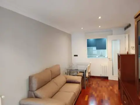 Piso en Centro-Villacerrada-Pajarita