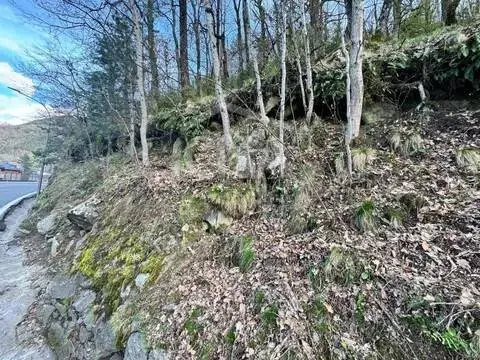 Terreno en calle Carretera de La Plana, 75