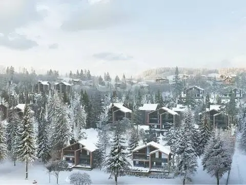 Xalet de 3 habitacions en venda a L'Aldosa, La Massana · 40 de 60