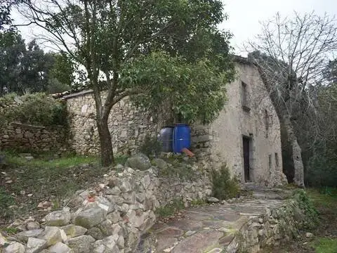 Casa rústica en Sant Feliu de Buixalleu