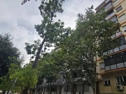 Fotografía 2