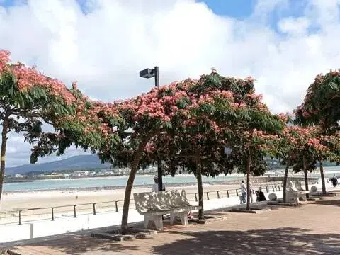 Piso en calle del Rego de Foz