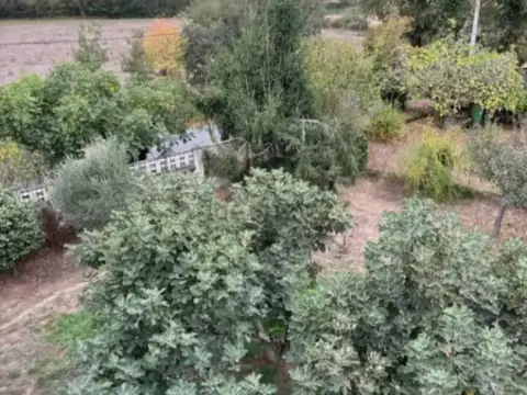 Chalet en calle Estrada Das Nocedas, 7