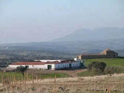 Casa rústica en Almodóvar del Campo