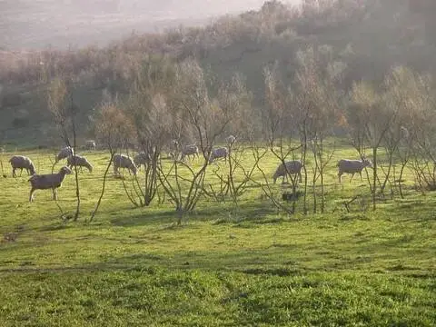 Casa rústica en Almodóvar del Campo