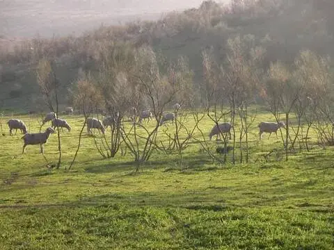Casa rústica en Almodóvar del Campo