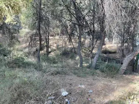 Terreno en Murcia Capital