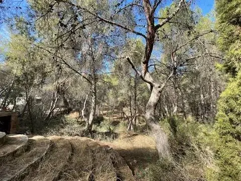 Terreno en Murcia Capital