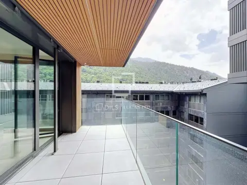 Pis de 3 habitacions en venda a Escaldes-Engordany · 38 de 60