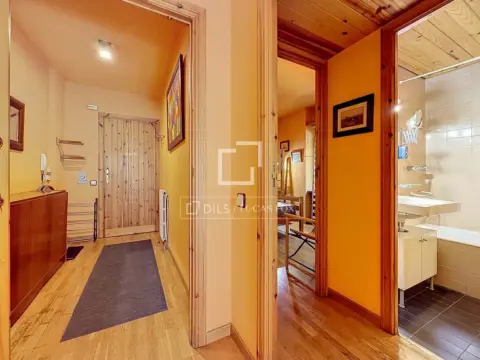 Appartement 1 chambres à vendre à El Tarter, Canillo · 40 sur 60