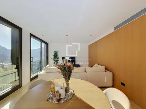 3-bedroom flat for sale in Engolasters, Escaldes-Engordany · 44 of 60