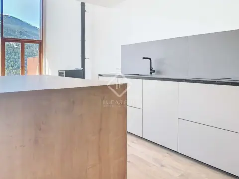 4-bedroom house for sale in Canillo · 11 of 60