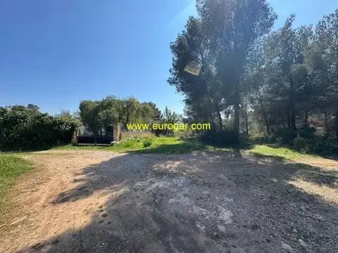 Terreno en Chiva
