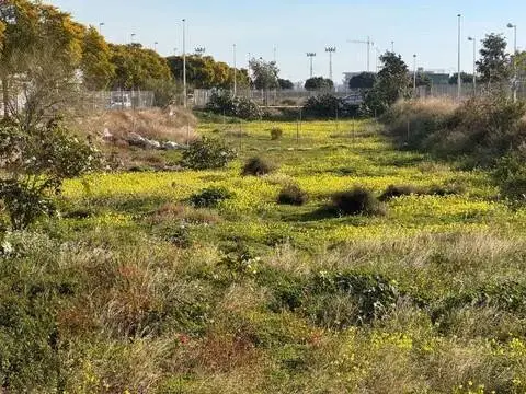 Terreno en calle Maestro Antonio Michavila
