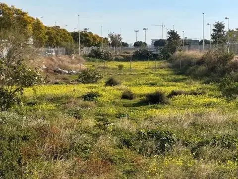 Terreno en calle Maestro Antonio Michavila