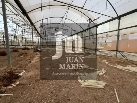 Terreno en Ontur