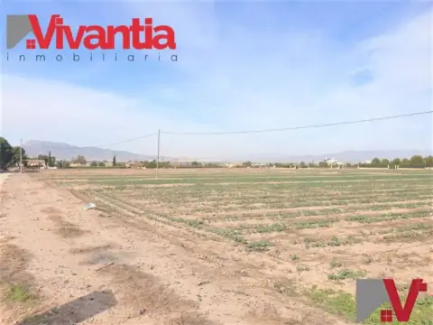 Terreno en Lorca