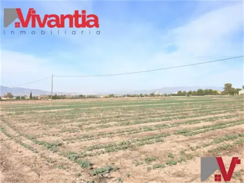 Terreno en Lorca