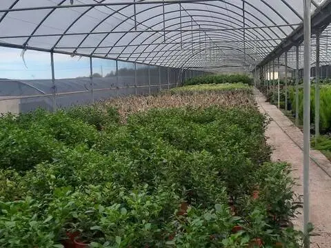 Terreno en Estivella