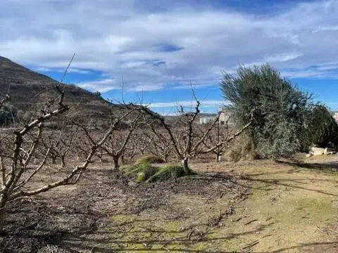 Terreno en calle Partida Poligono 011, 23