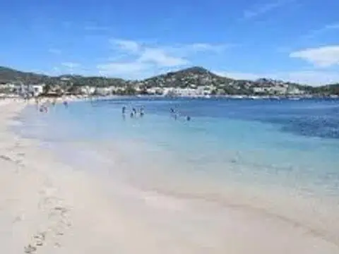 Piso en calle Avenida 8 D'agost No Number