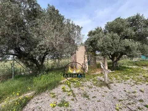 Terreno en calle Partida Almalafa, 41