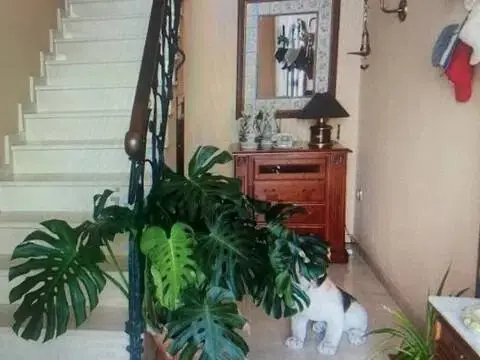 Piso en Casco Histórico