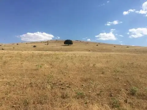 Terreno en Porzuna