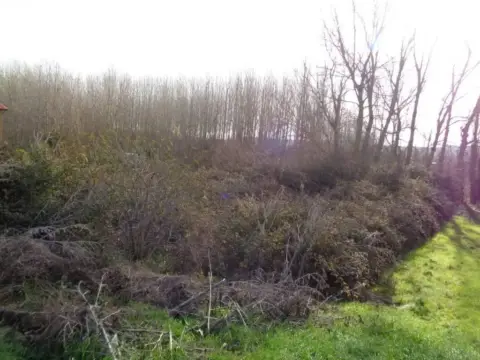 Terreno en Anguciana