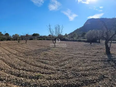 Terreno en Aspe