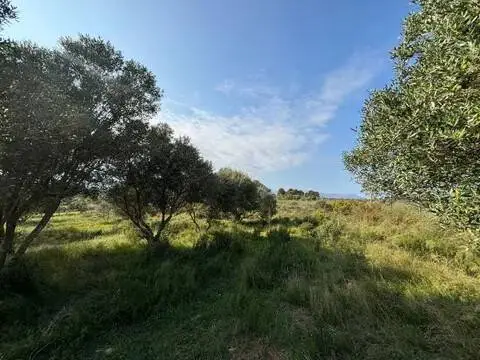 Terreno en Marzà