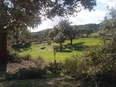 Terreno en San Vicente de Alcántara