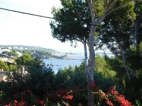 Terreno en Palmanova-Son Caliu
