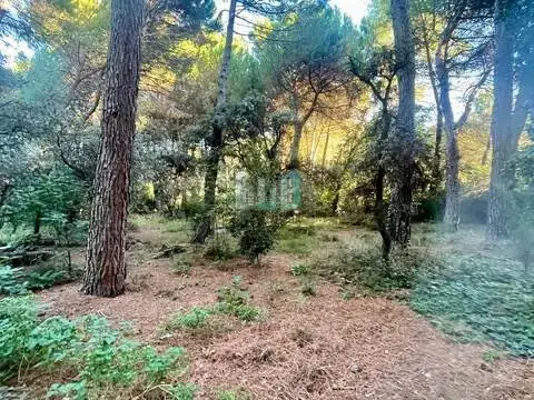 Chalet en Pedanías y Barrios Rurales