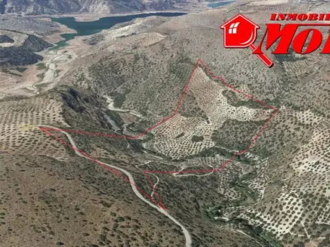 Terreno en Algarinejo