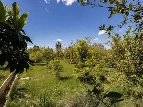 Terreno en Carretera de Rincón de Seca