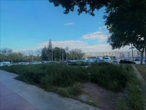 Terreno en calle Limonar