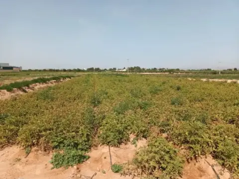 Terreno en Cartagena