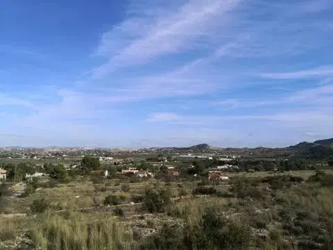 Terreno en calle Camino Viejo de Hondon, 271