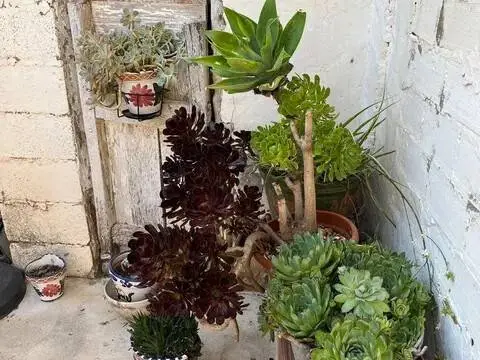 Casa rústica en Alpuente