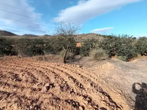 Terreno en Fuente Álamo de Murcia