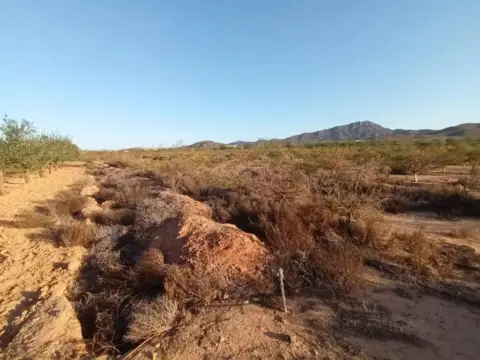 Terreno en Fuente Álamo de Murcia
