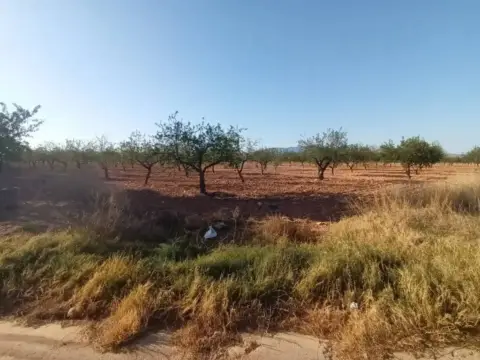 Terreno en Fuente Álamo de Murcia