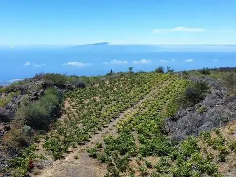 Casa rústica en Guía de Isora