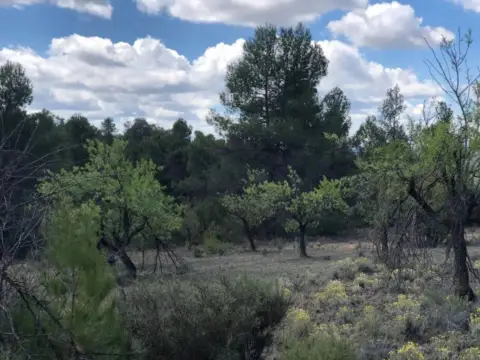 Terreno en La Fresneda