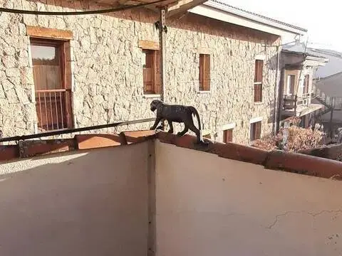 Casa rústica en Piedralaves