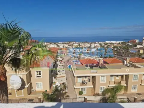 Piso en calle de los Falcones, 20